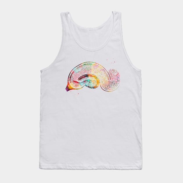 Brain Pyramidal Neurons Tank Top by erzebeth